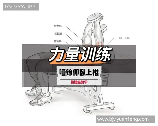 哑铃推胸锻炼的主要肌肉群及其锻炼效果分析