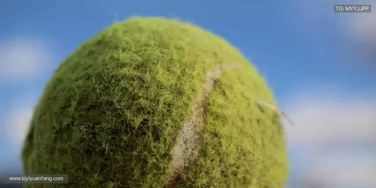 汗水与荣耀同在，赛事舞台由你主宰！🏆